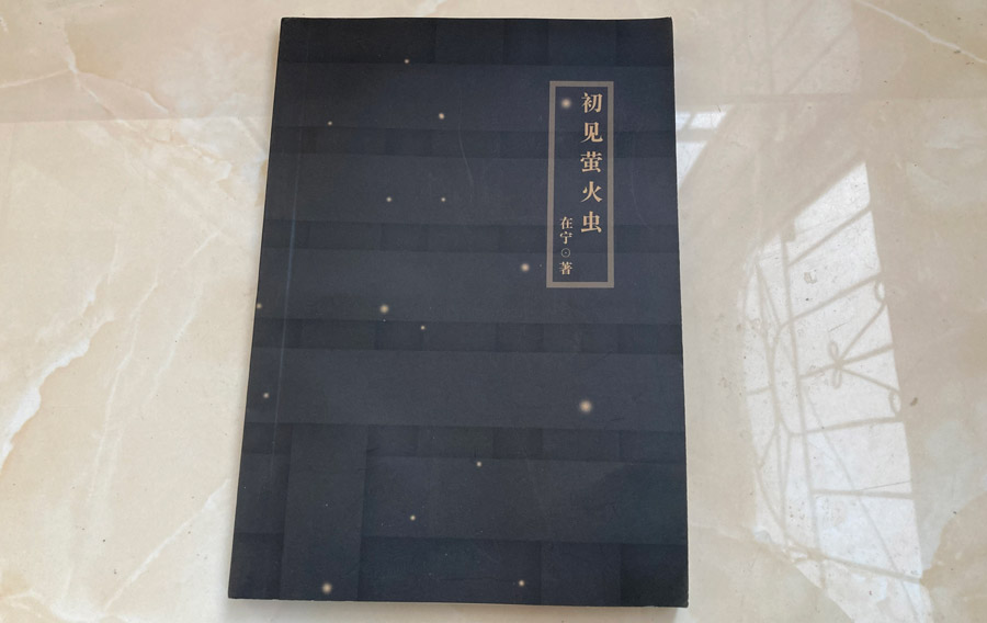 初见萤火虫.JPG 初见萤火虫.JPG